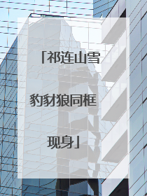 祁连山雪豹豺狼同框现身